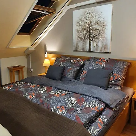 Relax Wellness Manzard Apartment Hajduszoboszlo