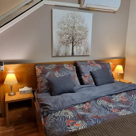 Apartment Relax Wellness Manzard *