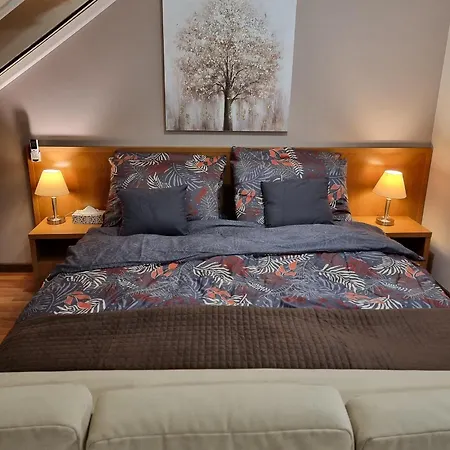 Apartment Relax Wellness Manzard Hajduszoboszlo